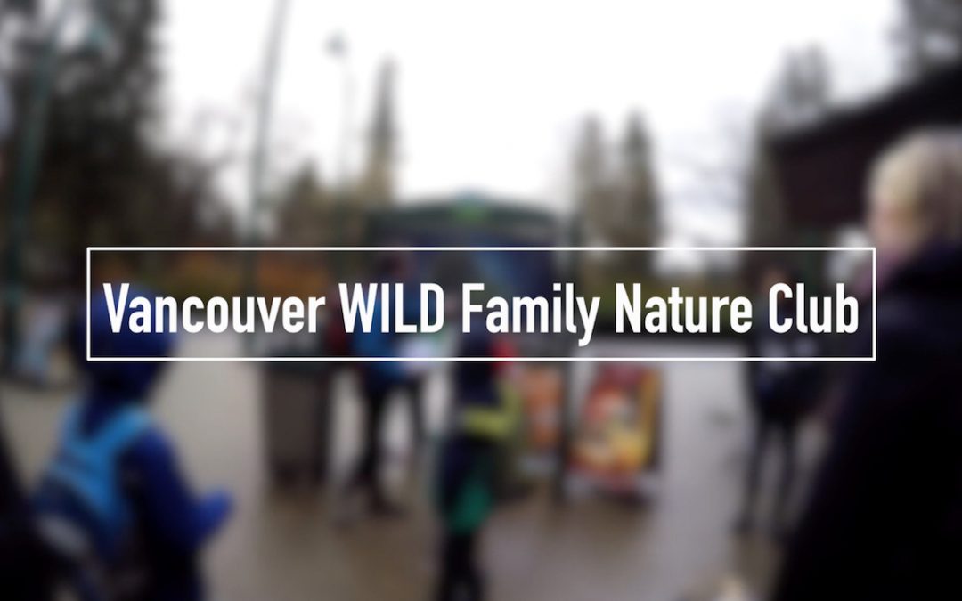 Vancouver WILD Family Nature Club Walk at Stanley Park [VIDEO]