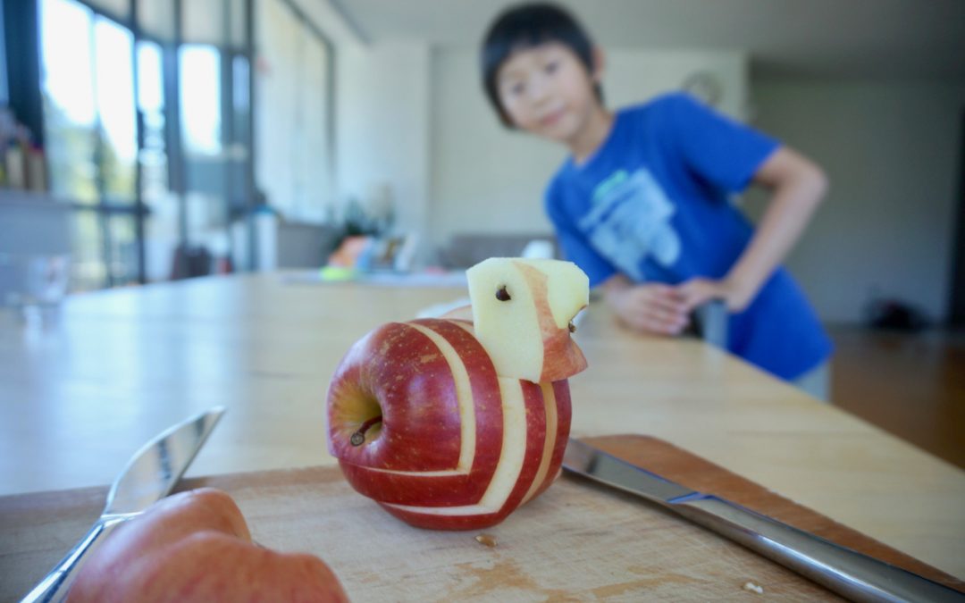 Home Learning Journal – September 3, 2017 [VIDEO]