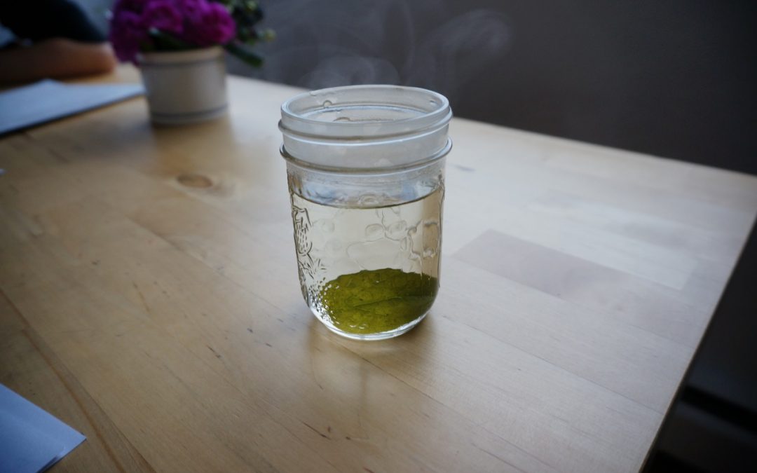 Home Learning Journal January 24, 2018 – Nature School & Math