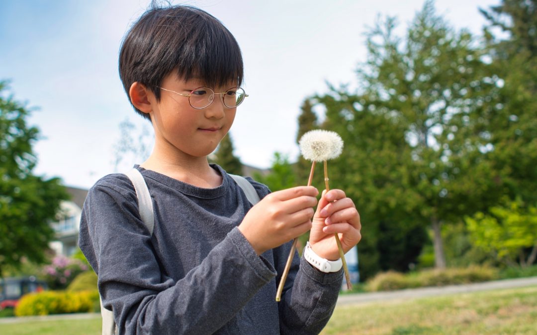 Unschooling Journal May 5-11, 2019