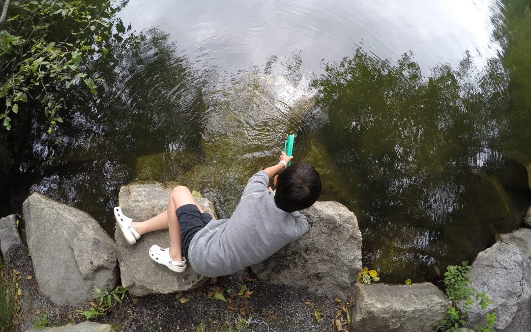 Unschooling Journal July 28 – August 3, 2019